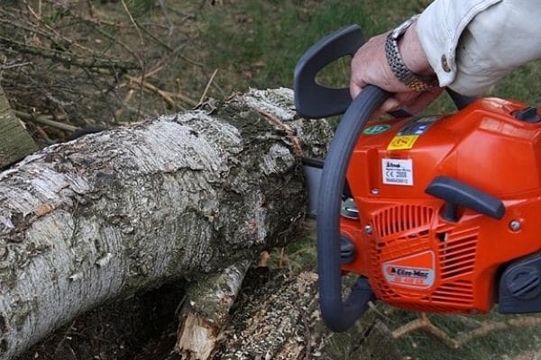 Chainsaw Gas Vs Electric
